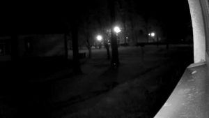 Wireless Cameras