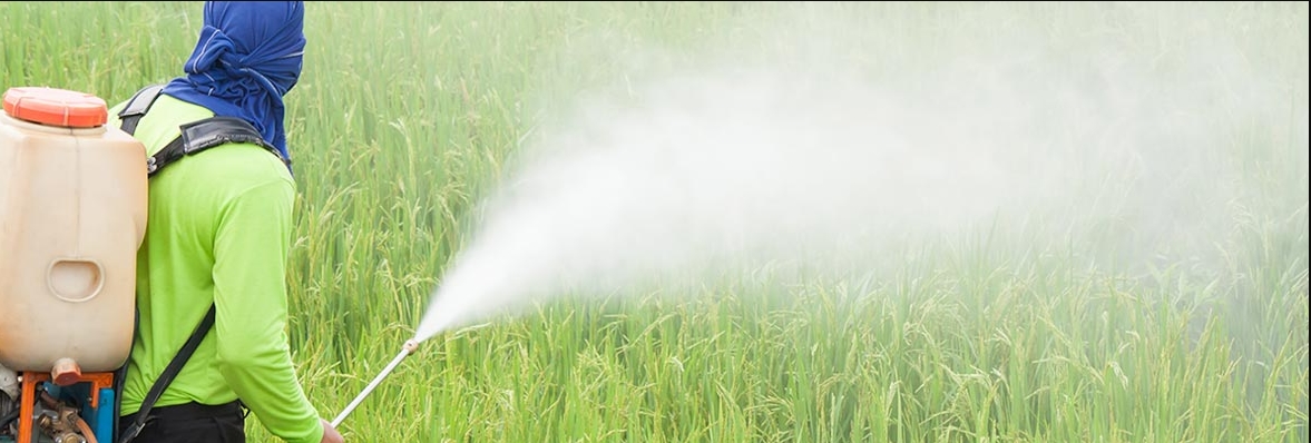 pest spray