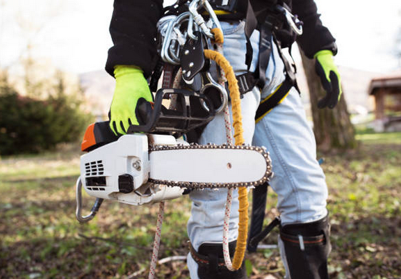 Arborists