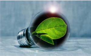 reduce pollution